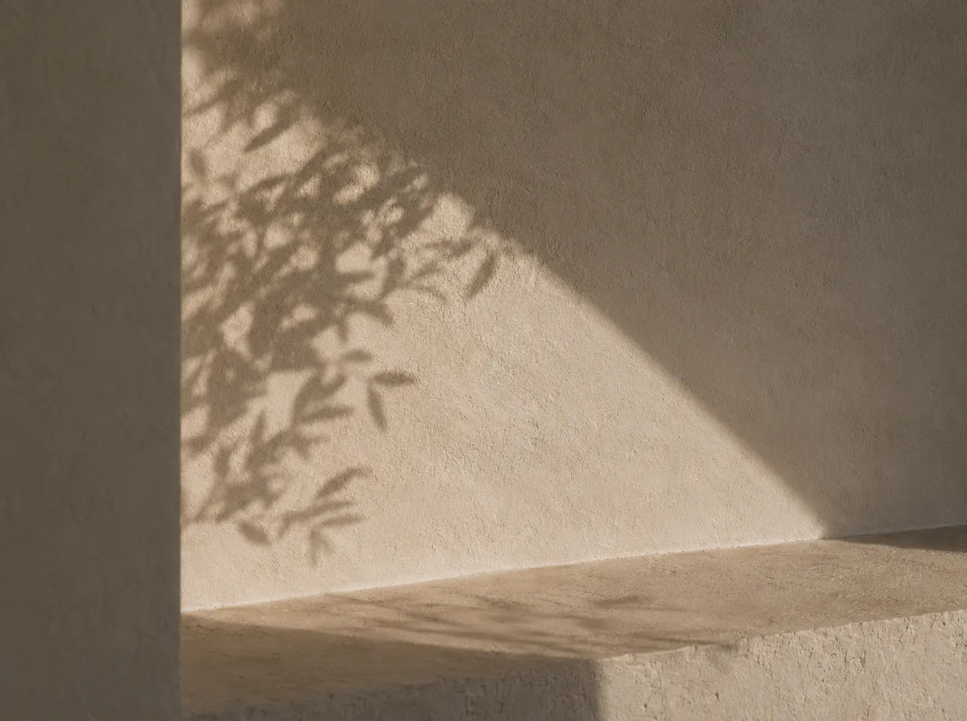 Leaf shadows falling across a plaster wall and a stone bench in afternoon light