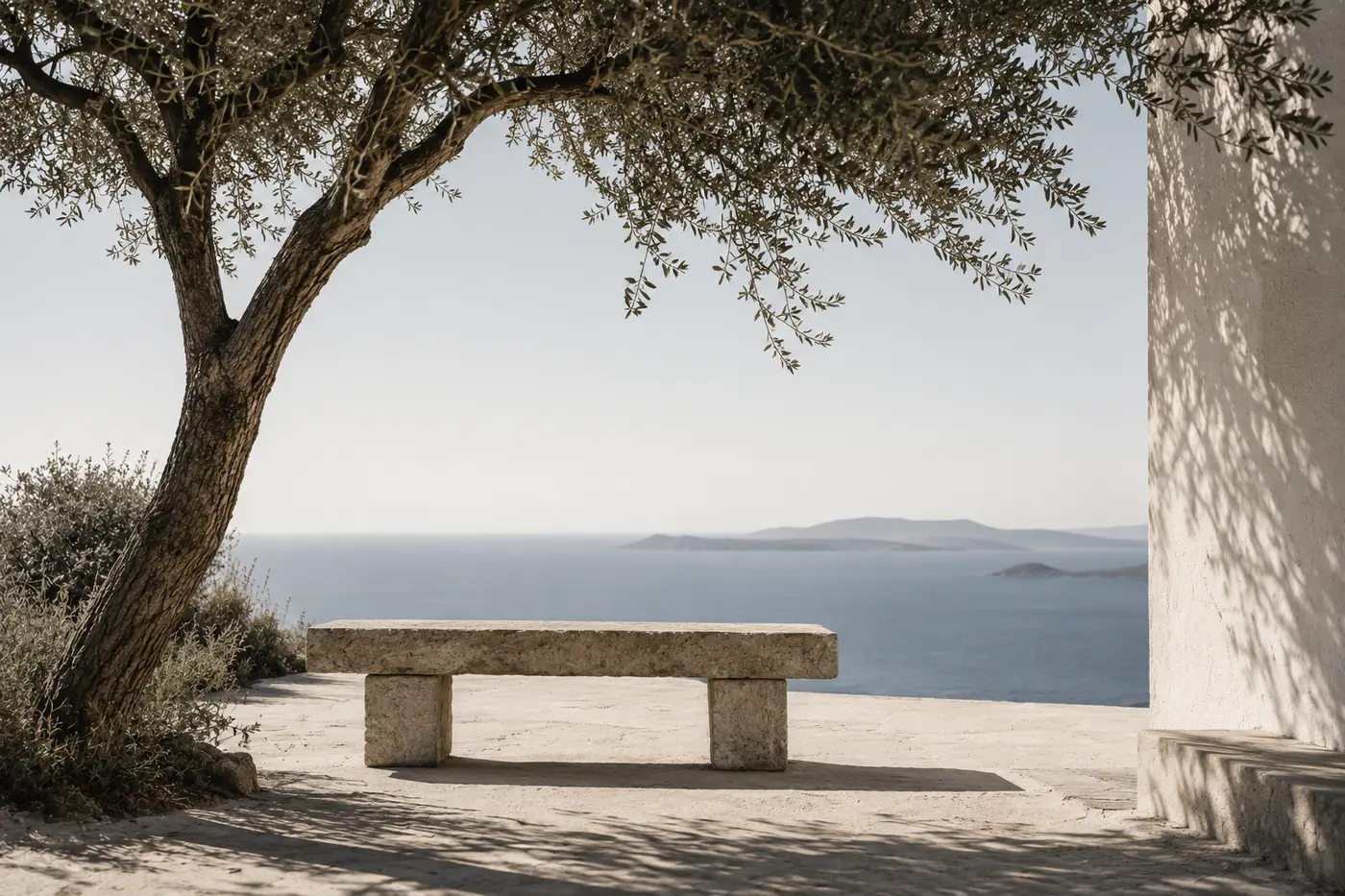 A solitary stone bench beneath an olive tree, overlooking the sea