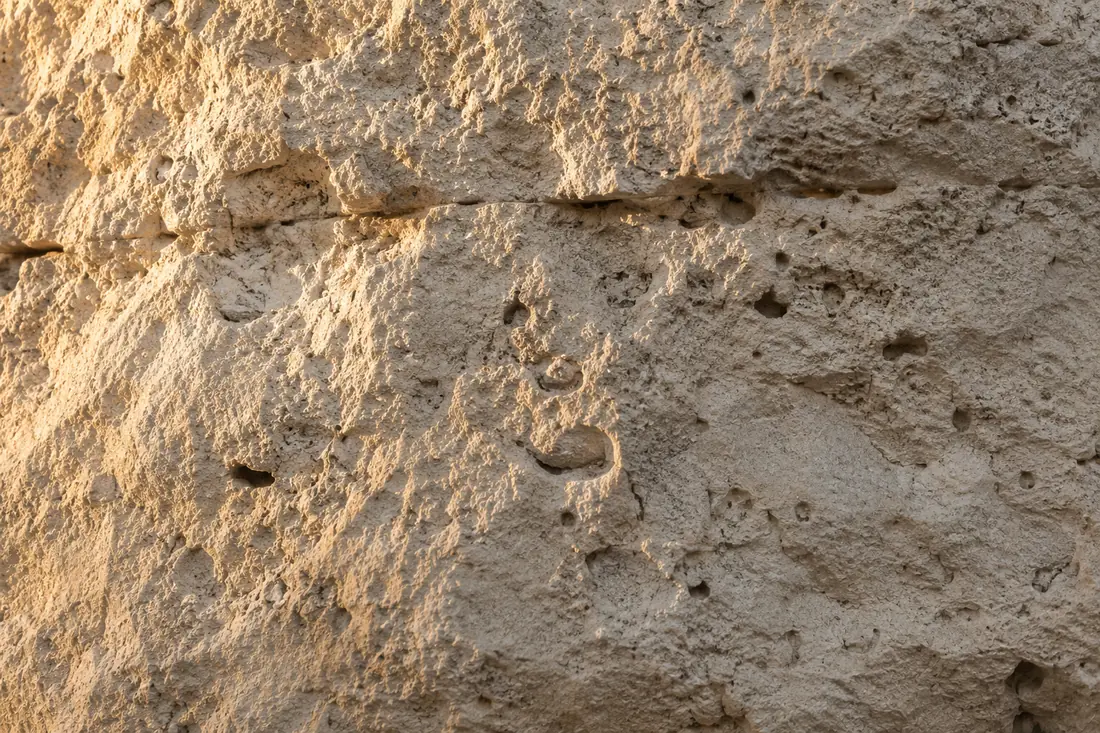 A weathered limestone wall in low afternoon light, every pore and fossil revealed