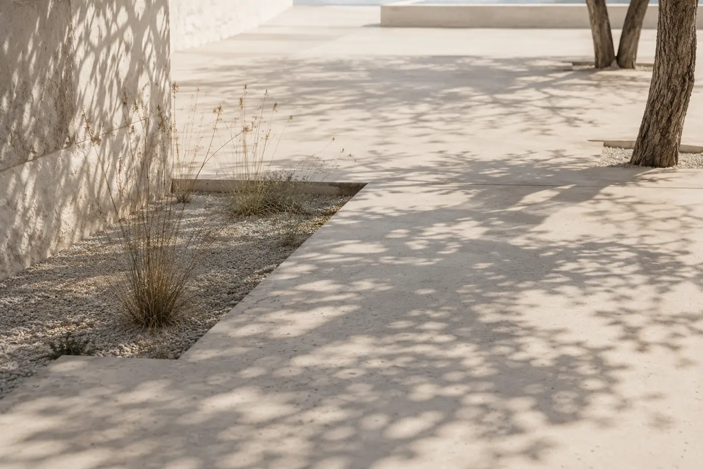 Tree shadows falling across a sunlit stone courtyard and rough plaster wall